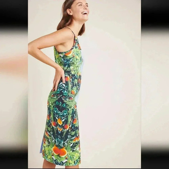 Anthropologie Maeve Orange Bough Blue Citrus Dress Midi Grove - Picture 4 of 11